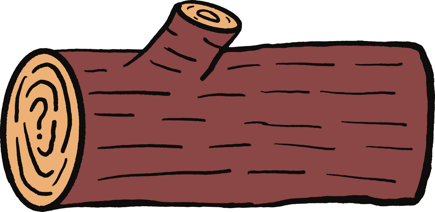 The Curiosity Log